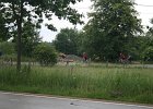 IMG 2113